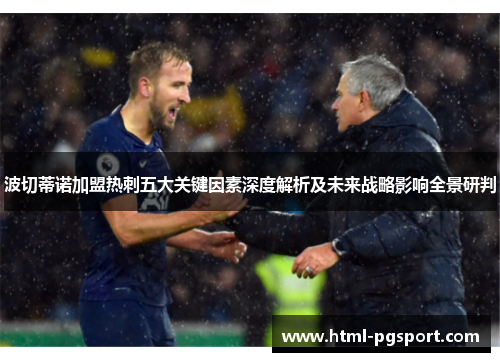 波切蒂诺加盟热刺五大关键因素深度解析及未来战略影响全景研判